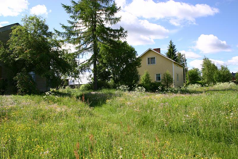 lehmila_juhannus_2005 052.jpg